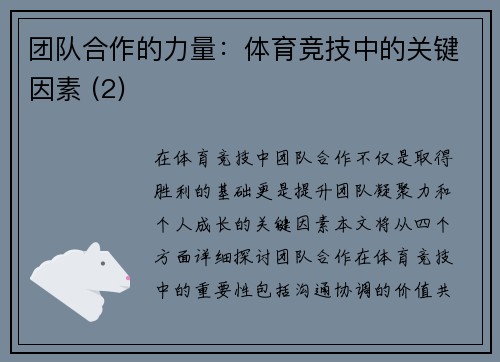 团队合作的力量：体育竞技中的关键因素 (2)